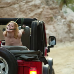 Dee Williams in 'Kink' Cabo, the Return. Part 6 (Thumbnail 3)