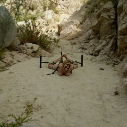 Dee Williams in 'Kink' Cabo, the Return. Part 6 (Thumbnail 9)