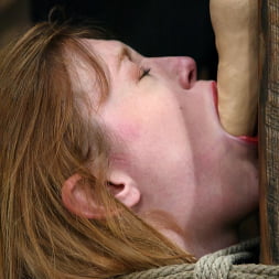 Dee Williams en 'Kink' Cariño (Miniatura 5)