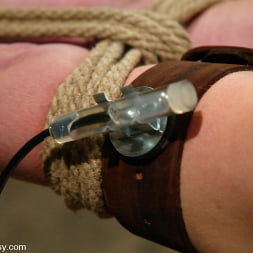 Dee Williams en 'Kink' Princesa donna dolore y querida (Miniatura 9)