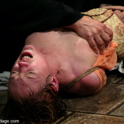 Dee Williams in 'Kink' Wolf Lotus and Darling (Thumbnail 8)