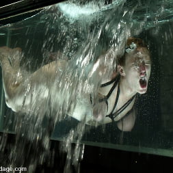 Dee Williams in 'Kink' Wolf Lotus and Darling (Thumbnail 14)