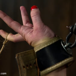Devon Taylor in Tip Tap (Photo 7) Devon Taylor in 'Kink' Tip Tap (Thumbnail 7)
