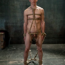 Dia Zerva in 'Kink' Metamorphosis: Episode 1 Cum Thieves (Thumbnail 18)