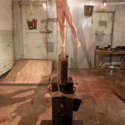Dia Zerva in 'Kink' The Training of Dia Zerva, Day Four (Thumbnail 13)