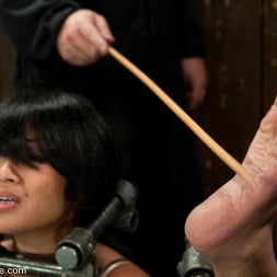 DragonLily in Hard foot caning, harder orgasms. (Photo 6) DragonLily in 'Kink' Hard foot caning, harder orgasms. (Thumbnail 6)