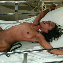 DragonLily en 'Kink' and Stacey Cash (Miniatura 11)