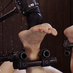Dylan Ryan en 'Kink' Al revés y desamparado (Miniatura 1)