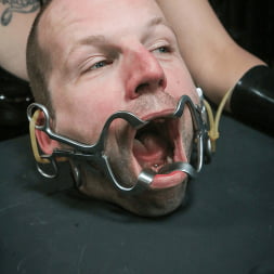 Eden Alexander in Bitch Box (Photo 5) Eden Alexander in 'Kink' Bitch Box (Thumbnail 5)