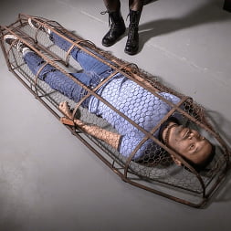 Elise Graves in 'Kink' A Gilded Cage (Thumbnail 1)