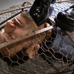 Elise Graves in 'Kink' A Gilded Cage (Thumbnail 3)