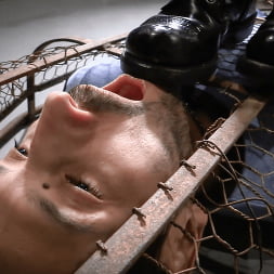 Elise Graves in 'Kink' A Gilded Cage (Thumbnail 4)