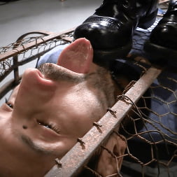 Elise Graves in 'Kink' A Gilded Cage (Thumbnail 5)
