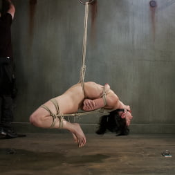 Elise Graves en 'Kink' ¡¡¡Esta perra sufrirá en mis cuerdas!!! (Miniatura 1)