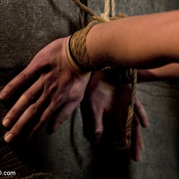 Elise Graves in Young Rope Slut Gets a Full Day of Intense Bondage - Live (Photo 16) Elise Graves in 'Kink' Young Rope Slut Gets a Full Day of Intense Bondage - Live (Thumbnail 16)