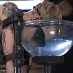Elizabeth Thorn in 'Kink' Recipe for Disaster (Thumbnail 5)