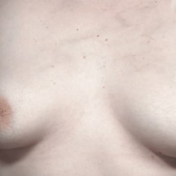 Ella Nova in Asphalt Island, Part 4: Ella Nova (Photo 2) Ella Nova in 'Kink' Asphalt Island, Part 4: Ella Nova (Thumbnail 2)
