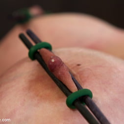 Felony in Bound in Cruel Latex, Metal and Leather Bondage! (Photo 8) Felony in 'Kink' Bound in Cruel Latex, Metal and Leather Bondage! (Thumbnail 8)