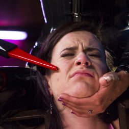 Freya French in 'Kink' The Debt Collector (Thumbnail 4)