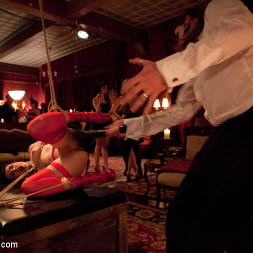 Gia DiMarco in 'Kink' Thanksgiving Feast (Thumbnail 16)