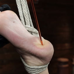 Gia DiMarco in 'Kink' is Back! Grueling Bondage And Mind-Blowing Orgasms (Thumbnail 26)