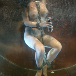 Gianna Lynn in 'Kink' Getting Gianna Lynn WET! (Thumbnail 6)