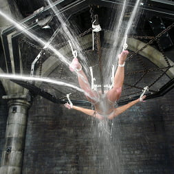 Gina Caruso in 'Kink' Gina Caruso (Thumbnail 4)