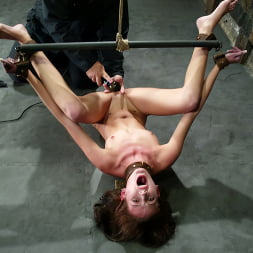 Hailey joven en 'Kink' Hailey joven (Miniatura 5)