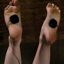 Halie James in 'Kink' The Veteran and the Newbie (Thumbnail 10)