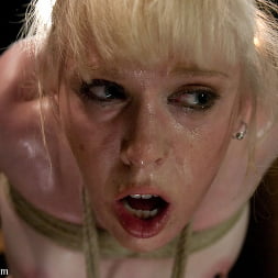Halie James in 'Kink' The Veteran and the Newbie (Thumbnail 21)