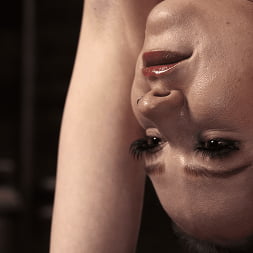 Hazel Paige in 'Kink' Leather and Steel: Hazel Paige (Thumbnail 1)