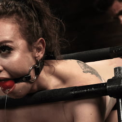 Hazel Paige in 'Kink' Leather and Steel: Hazel Paige (Thumbnail 18)