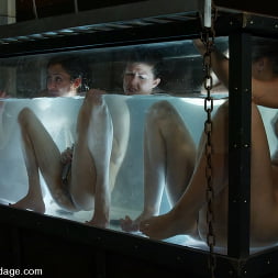 Hollie Stevens in 5 Girl Shoot: Part 3 (Photo 12) Hollie Stevens in 'Kink' 5 Girl Shoot: Part 3 (Thumbnail 12)
