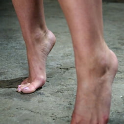 Hollie Stevens in Hollie Stevens (Photo 2) Hollie Stevens in 'Kink' Hollie Stevens (Thumbnail 2)