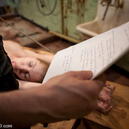 Hollie Stevens in 'Kink' The Training of Holly Stevens Day Four (Thumbnail 15)