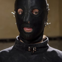 Holly Heart in 'Kink' Anal MILF Training Holly Heart Day One (Thumbnail 11)