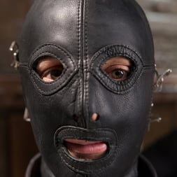 Holly Michaels in The Training of an Undisciplined Little Fuck Toy, Day Two (Photo 10) Holly Michaels in 'Kink' The Training of an Undisciplined Little Fuck Toy, Day Two (Thumbnail 10)