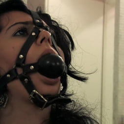 Hot Brunette in Tied Up in the Streets and Fucked in a Bar (Photo 14) Hot Brunette in 'Kink' Tied Up in the Streets and Fucked in a Bar (Thumbnail 14)