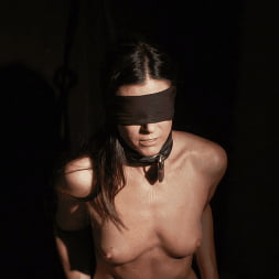 India Summer en 'Kink' La reportera de Raunch India Summer fue entrenada como esclava sexual (Miniatura 3)