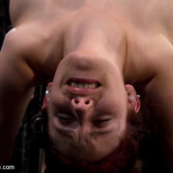 Iona Grace in Back Bend Boob Punishment (Photo 14) Iona Grace in 'Kink' Back Bend Boob Punishment (Thumbnail 14)