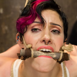 Iona Grace in Requests Fulfilled: Impossible Bondage Positions (Photo 1) Iona Grace in 'Kink' Requests Fulfilled: Impossible Bondage Positions (Thumbnail 1)