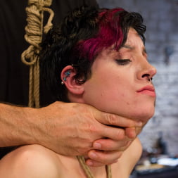 Iona Grace in Requests Fulfilled: Impossible Bondage Positions (Photo 4) Iona Grace in 'Kink' Requests Fulfilled: Impossible Bondage Positions (Thumbnail 4)