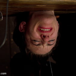 Iona Grace en 'Kink' Los orgasmos helados (Miniatura 7)