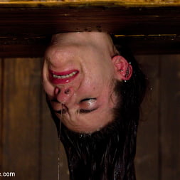 Iona Grace en 'Kink' Los orgasmos helados (Miniatura 13)