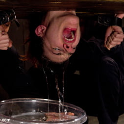Iona Grace en 'Kink' Los orgasmos helados (Miniatura 16)