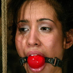 Isis Love in ALPHA in the ass, OMEGA in the pussy. Ariel X is taking the fucking of a lifetime! (Photo 9) Isis Love in 'Kink' ALPHA in the ass, OMEGA in the pussy. Ariel X is taking the fucking of a lifetime! (Thumbnail 9)