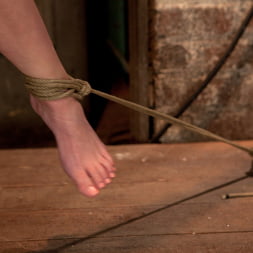 Isis Love in Elise is bound in the Flying Rubens a brutal Category 5 suspension Caned and made to cum, hard! (Photo 17) Isis Love in 'Kink' Elise is bound in the Flying Rubens a brutal Category 5 suspension Caned and made to cum, hard! (Thumbnail 17)