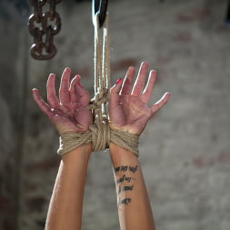 Isis Love en 'Kink' Tortura extrema de coño sobre el caballo de madera. Azotes fuertes, una cremallera brutal y ahora es diversión. (Miniatura 15)