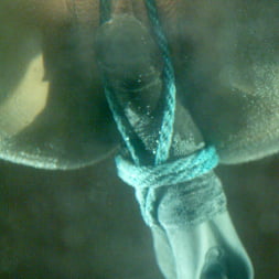 Isis Love in Isis Love (Photo 7) Isis Love in 'Kink' Isis Love (Thumbnail 7)