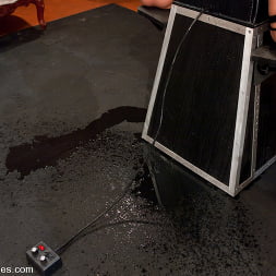 Isis Love in bound to the Sybian, squirting puddles (Photo 7) Isis Love in 'Kink' bound to the Sybian, squirting puddles (Thumbnail 7)